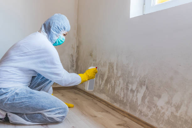Mold Remediation specialist working in Shiloh